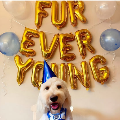 Furever Young Golden Foil Balloons